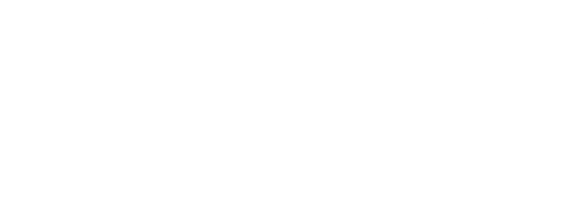 SANFIC Industria Logo