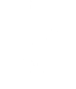 Festival Internacional del Nuevo Cine Latinoamericano